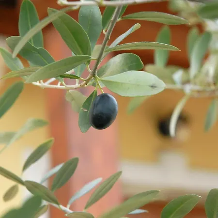 Stancija Kovacici Couette-café Opatija