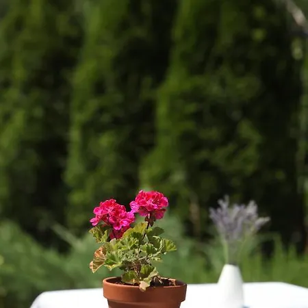 Stancija Kovacici 4*