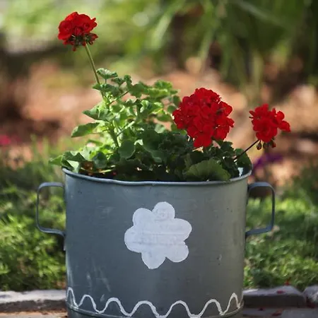 Bed & Breakfast Stancija Kovacici Opatija