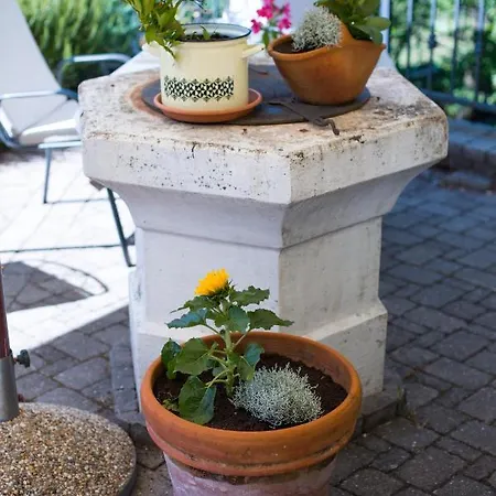 Stancija Kovacici 4*