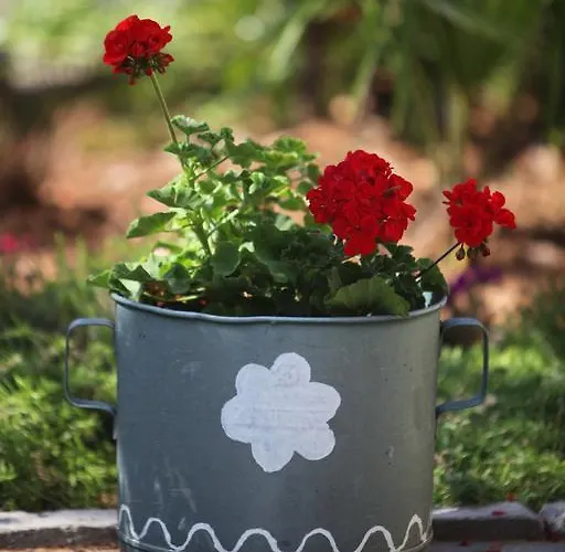 Bed and breakfast Stancija Kovacici Opatija