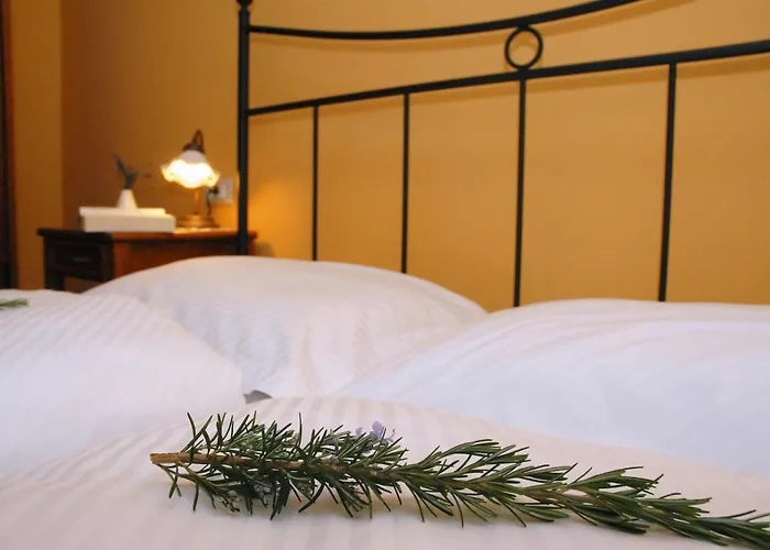 Stancija Kovacici Bed and breakfast