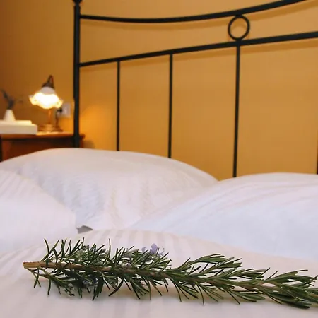 Stancija Kovacici Bed and breakfast